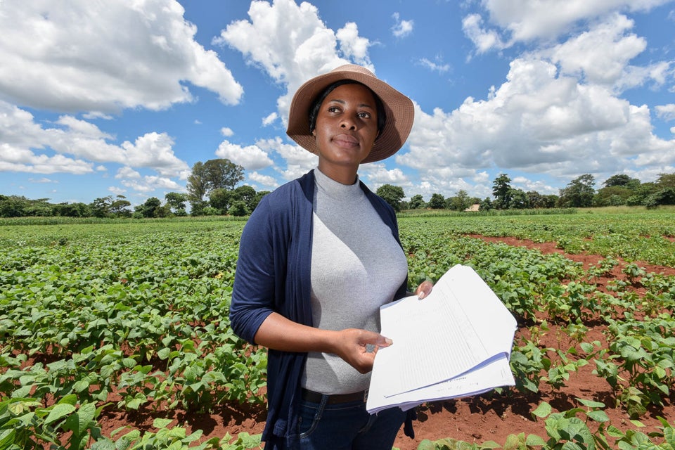 Trials of drought tolerant beans in Malawi, which in 2016 was suffering from its worst drought in three decades. Photo: CIAT/NeilPalmer.