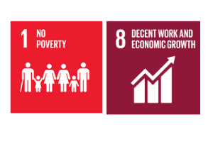 SDG goals 1 and 8